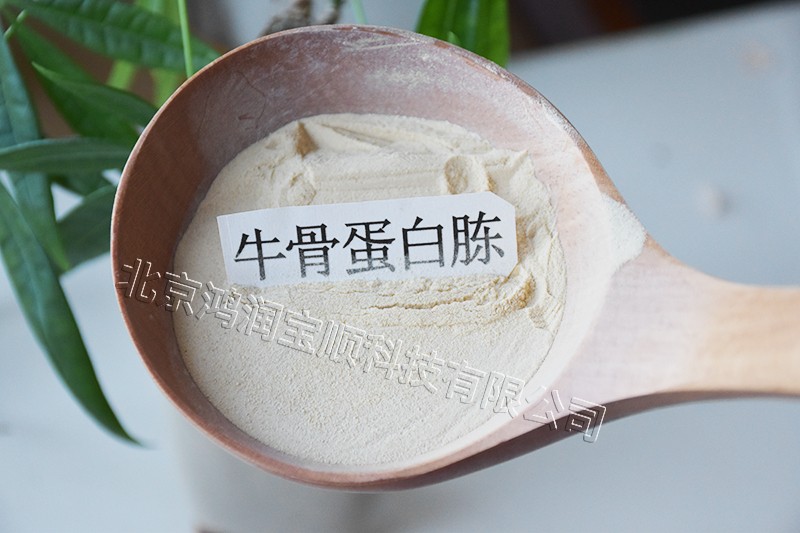牛骨蛋白胨粉末.jpg