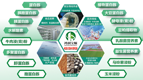 鴻潤寶順培養基原材料應用領域和主營產品.jpg