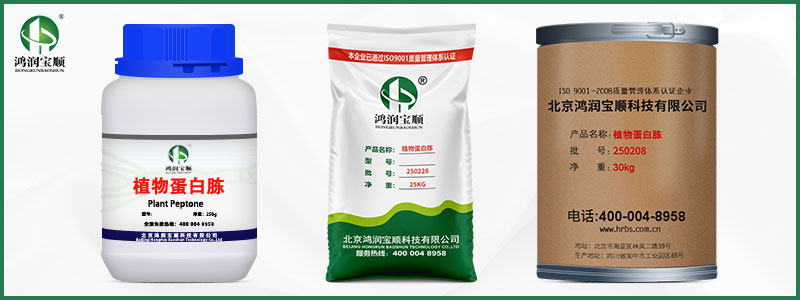 植物蛋白胨.jpg