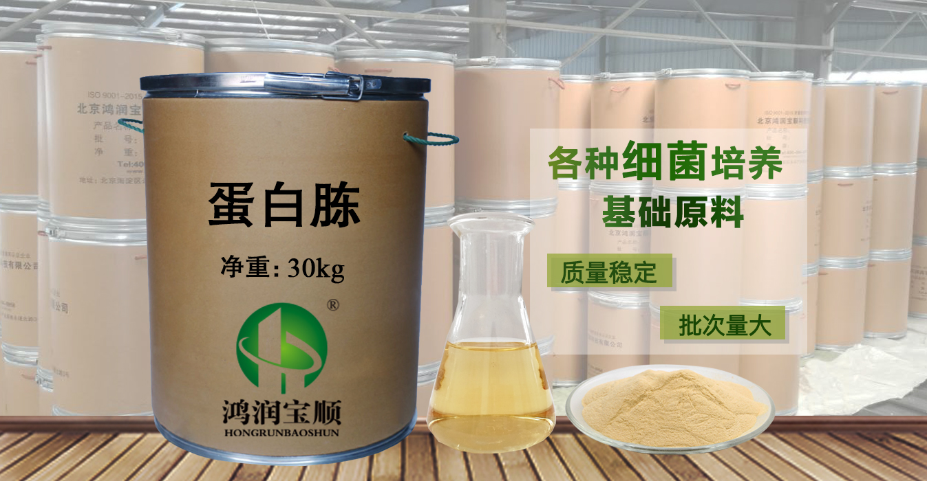 蛋白胨的含義與種類