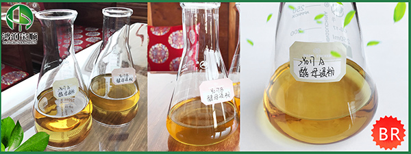 酵母粉、酵母提取物、酵母浸粉和酵母浸膏的區別您知道嗎？