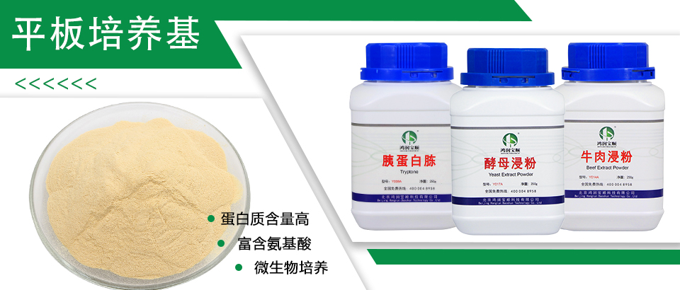 平板培養基