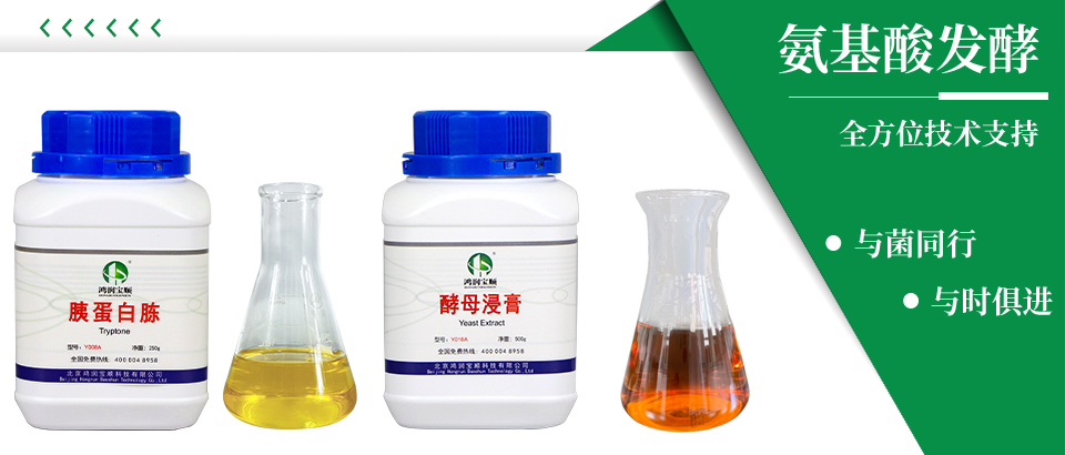 氨基酸發酵