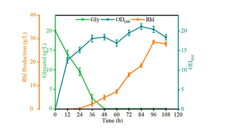 浙工大團隊改造假單胞菌，實現綠色表面活性劑高效生產