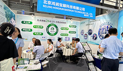 團(tuán)建 · 活動(dòng) · 展會(huì) · 企業(yè)形象