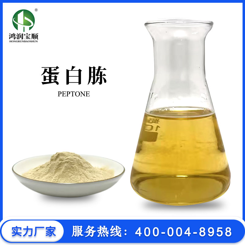 蛋白胨