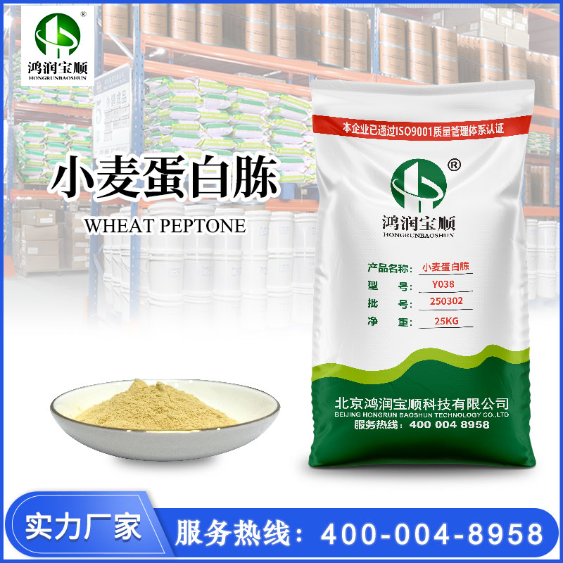 小麥蛋白胨