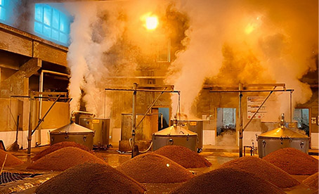 淺談飼料發酵技術